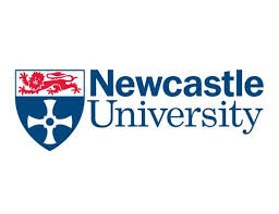 New Castle University
